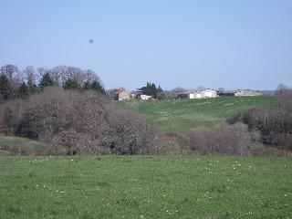 23-3-22 028.jpg